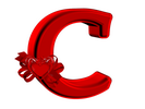 24С