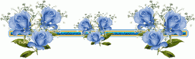5Logan_Razd110