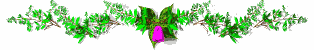 5Logan_Razd69