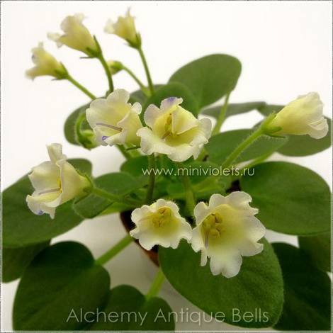 AlchemyAntiqueBells1