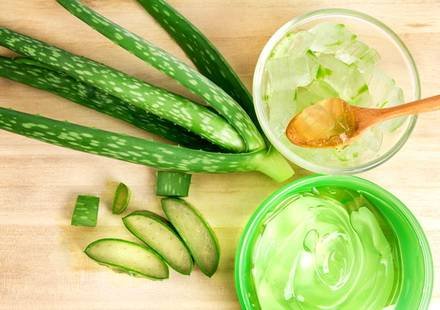 Aloe1