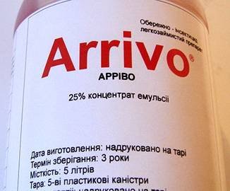 Арриво1