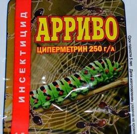 Арриво2