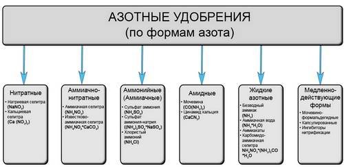 Азот1