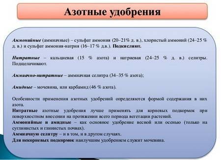 Азот2