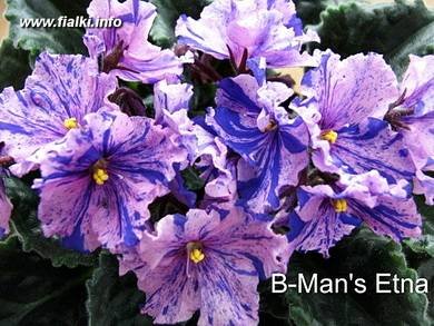 B-MansEtna4