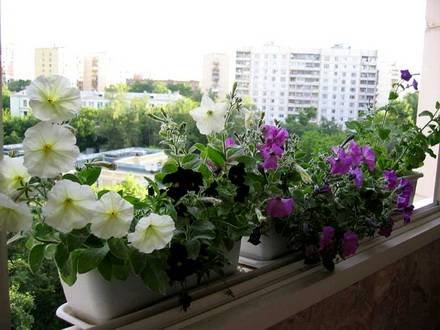 Balkon11