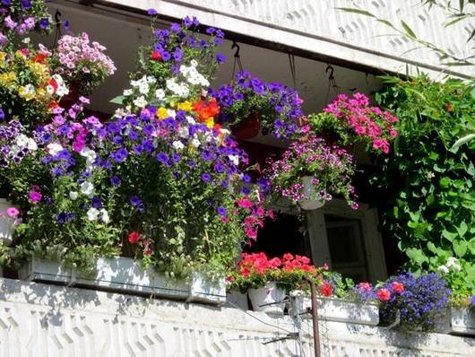 Balkon23