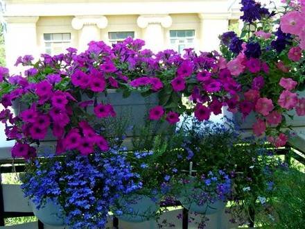 Balkon5