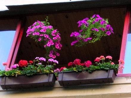 Balkon7