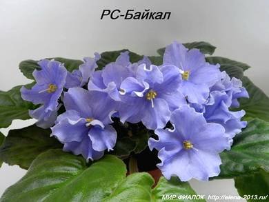 Байкал3