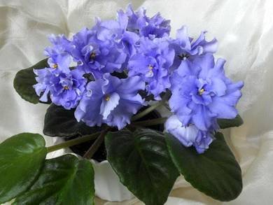 Байкал5