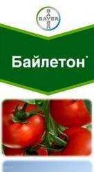 Байлетон1