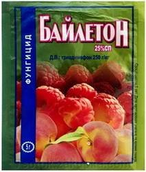 Байлетон3