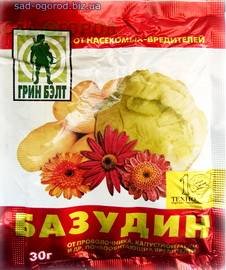 Базудин1