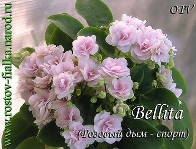 Bellita5