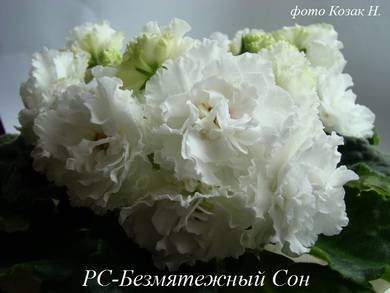 БезмятежныйСон5