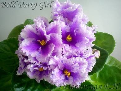 BoldPartyGirl7