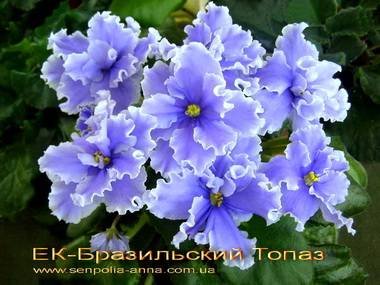 БразильскийТопаз2