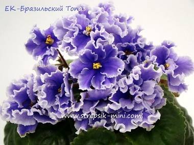 БразильскийТопаз3