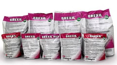 Brexil