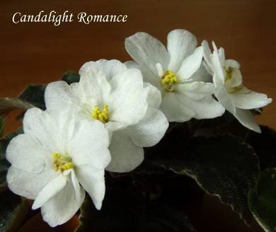 CandlelightRomance2