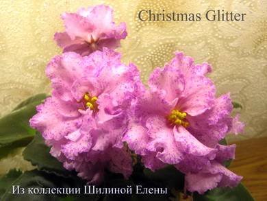 ChristmasGlitter8