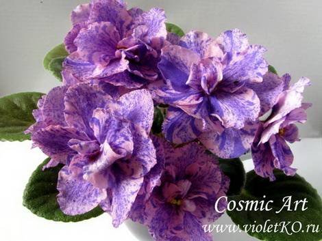 CosmicArt1