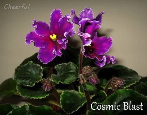 CosmicBlast1