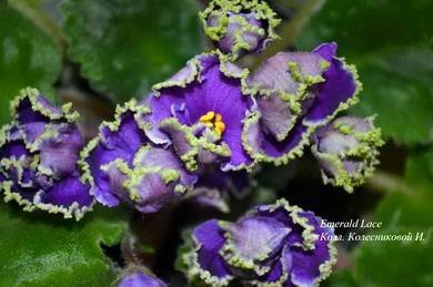 EmeraldLace3
