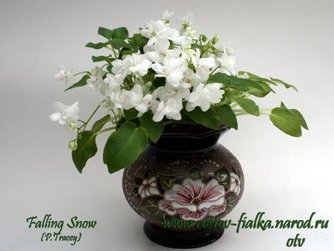 FallingSnow1