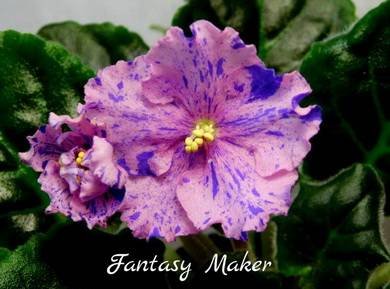 FantasyMaker3