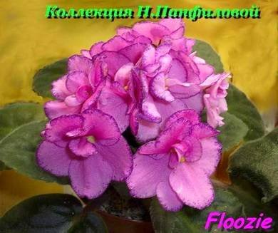 Floozie7