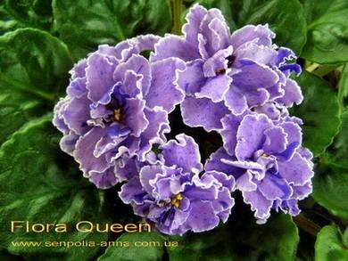 FloraQueen2