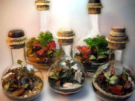 Florarium1