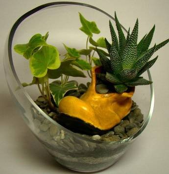 Florarium13