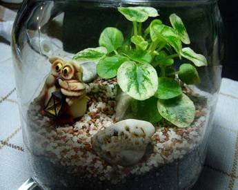 Florarium17