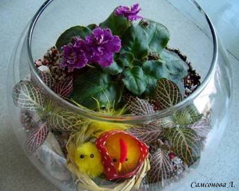 Florarium19