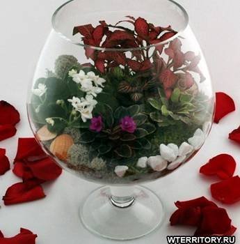 Florarium31