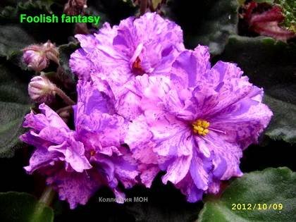 FoolishFantasy7