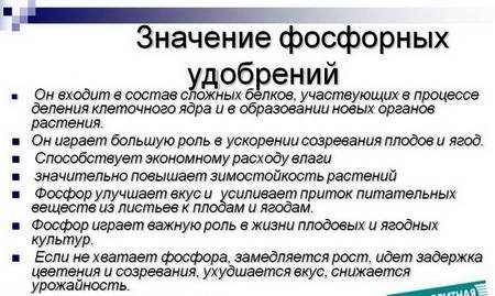 Фосфор1