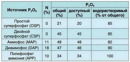 Фосфор2