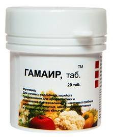 Гамаир2