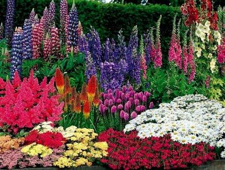 Garden10