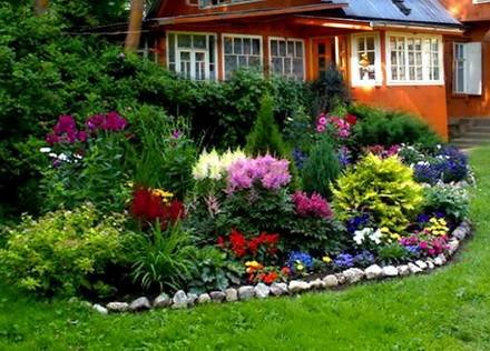 Garden11