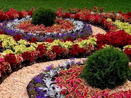 Garden14