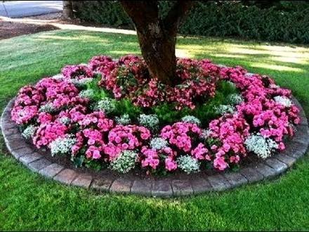 Garden21