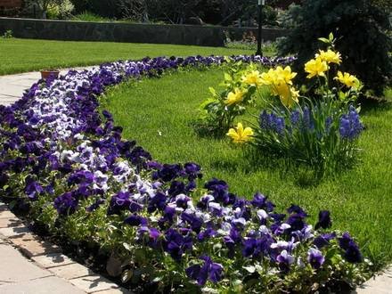 Garden23