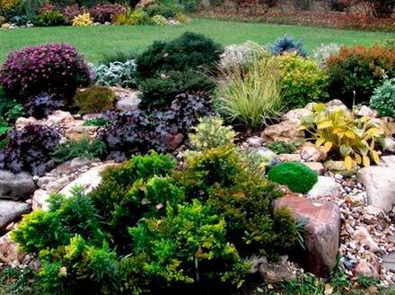 Garden25