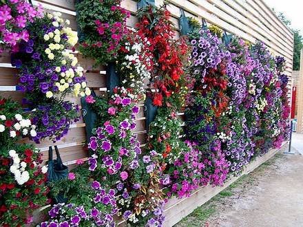 Garden26